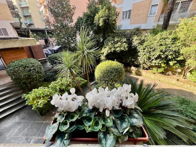 Appartamento La Casa Delle Camelie Roma Esterno foto